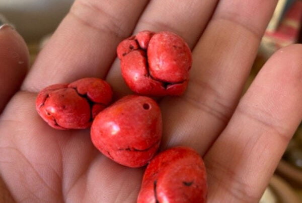 piedra coral roja , mineral coral rojo