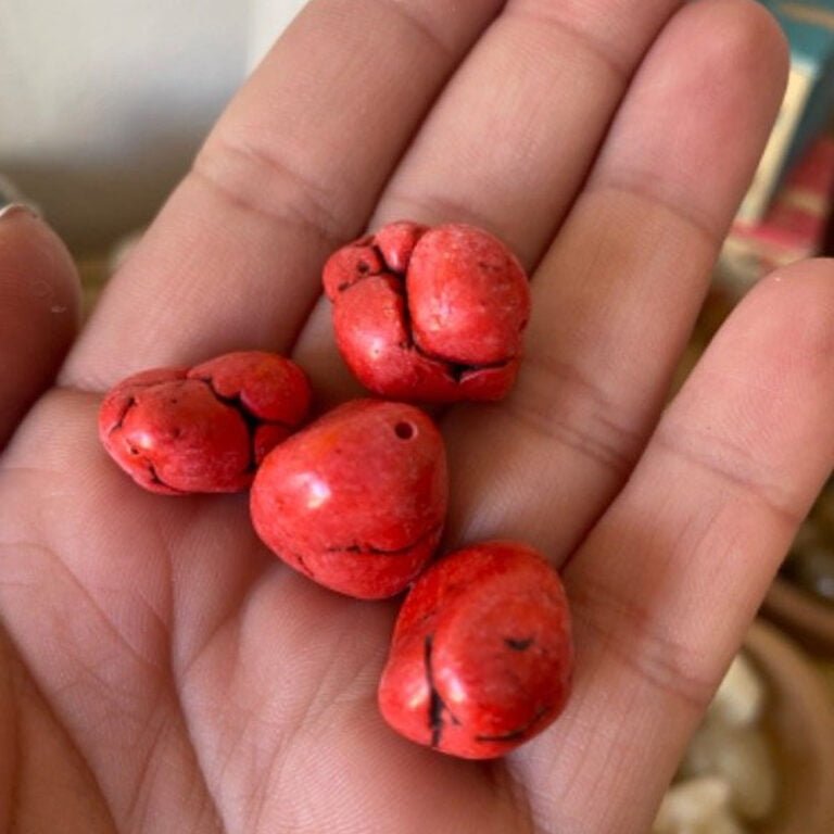 Piedra Coral Rojo: Propiedades, Usos y Energía de Protección