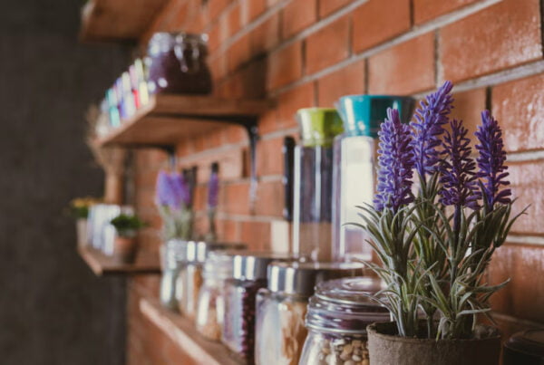 Estantería de una tienda esotérica en Madrid, adornada con frascos de hierbas y aceites esenciales, junto a una planta de lavanda, creando un ambiente místico y acogedor.