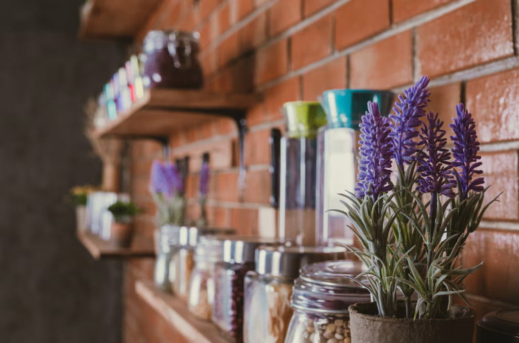 Estantería de una tienda esotérica en Madrid, adornada con frascos de hierbas y aceites esenciales, junto a una planta de lavanda, creando un ambiente místico y acogedor.